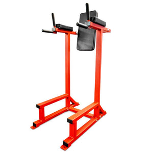 Knee Raise / Dip Station USA